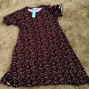 Loft xs petite dress, new with tags